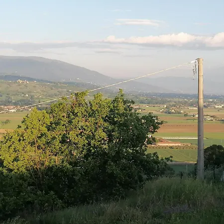 Iliria